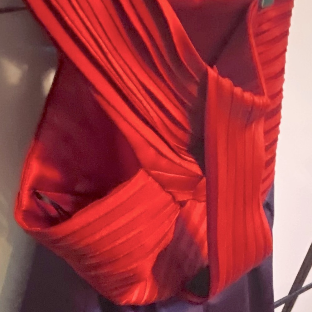 Festive Red & Purple A.B.S Dress For Holiday Cards - Picture 14 of 16